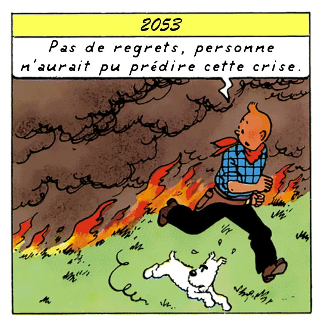 tintinades's tweet photo. On aura fait le max https://t.co/9cx08etold