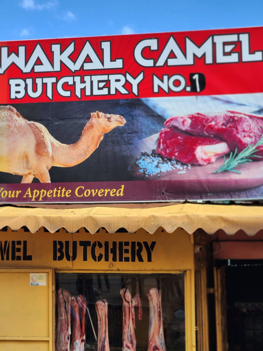 ahmednasirlaw's tweet photo. Having all things Camel at Tawakal butchery/restaurant...Nanyuki @WehliyeMohamed https://t.co/6Qfy7gkd1f