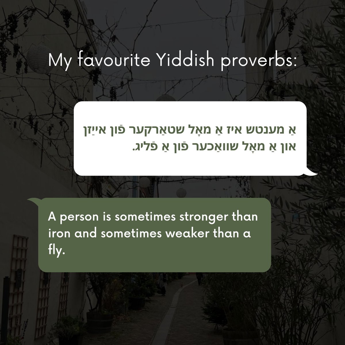 yiddish_vinkl's tweet photo. עטלעכע פֿון מײַן באַליבסטע ייִדישע שפּריכווערטער.
#YiddishProverbs https://t.co/s9wE16T6af
