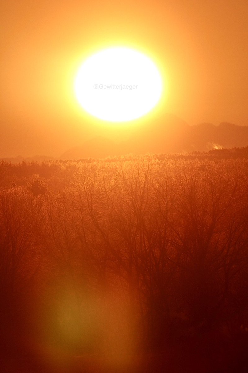 Gewitterjaeger's tweet image. Die goldene Morgenstimmung zum Sonnenaufgang. 😍

Dieses warme Licht zum Kaffee... ☺️

#sunrise #Morgenrot #Bayern