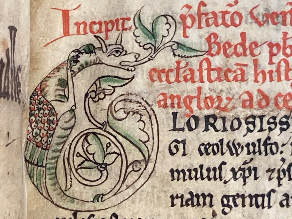 StJohnsOxLib's tweet photo. 📖 Showcasing MS 99 📖
This rather charming dragon marks the beginning of the prologue to Bede’s ‘Ecclesiastical History’
(photo: fol. 1r)
You can read the full catalogue entry here:
https://t.co/PRyr2OKec0
#DigiLibSJOL
#medievaltwitter https://t.co/ZgJ6iufUyu