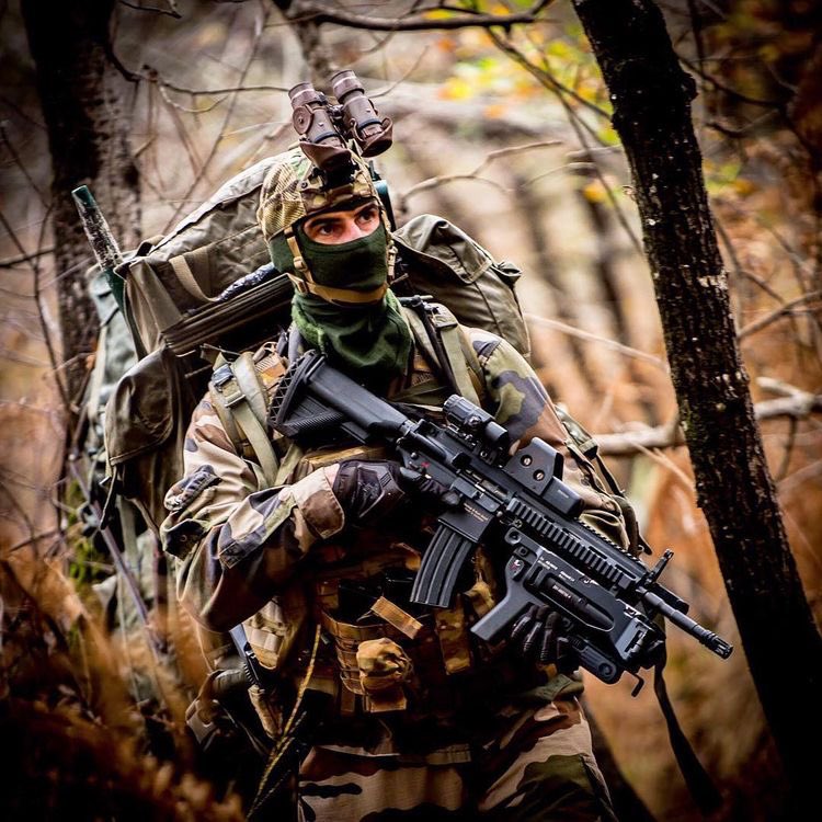 Le Frenchie 🇫🇷 on Twitter: