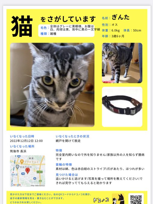猫ちゃん』の評価や評判、感想など、みんなの反応を1日ごとにまとめて ...