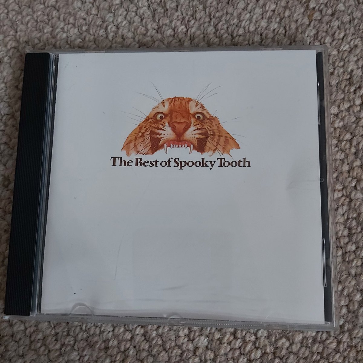 modalconfusion's tweet photo. One of my favourite bands from the 60/70's. What's your favourite Spooky Tooth track https://t.co/gIJq21RvhI