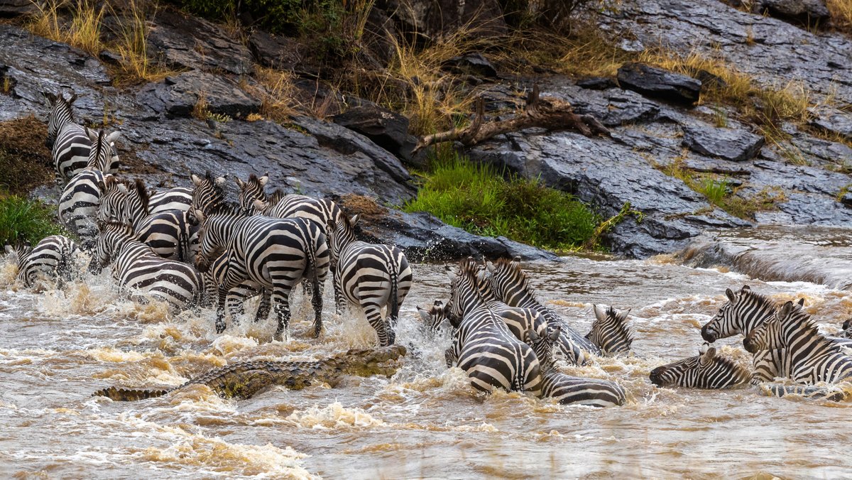 CameraShutterUp's tweet photo. Travel to Kenya with us!! https://t.co/20RizZ9E1b