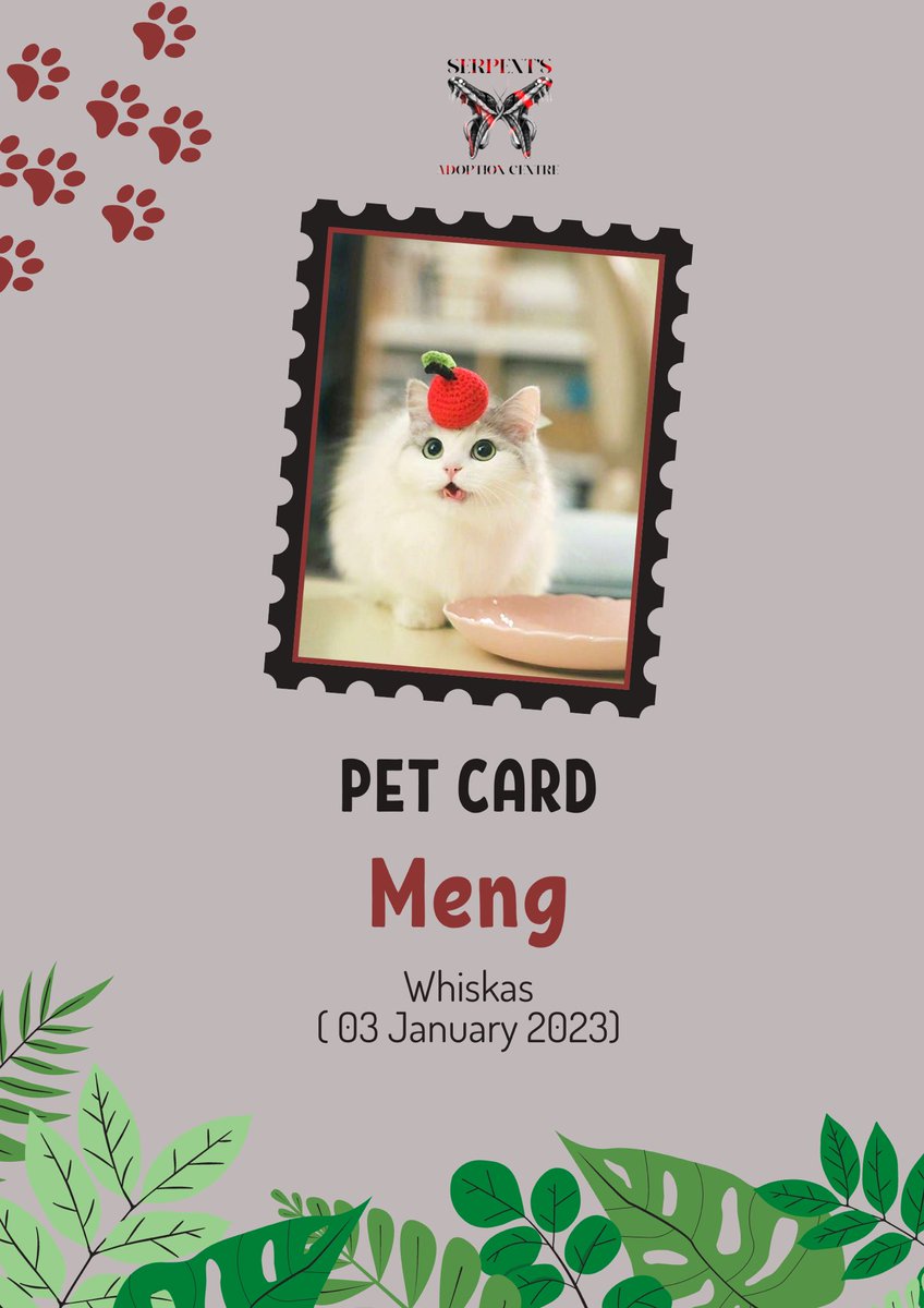 fleuramours's tweet photo. ㅤㅤㅤ
Ada yang mau temenan sama si meng 😁
ㅤㅤㅤ https://t.co/X59XtJDFD6