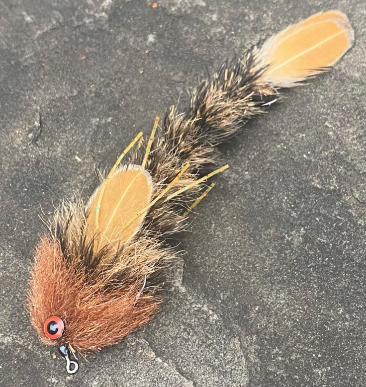 Saltwateronfly's tweet photo. Perfect tie...
@seth_c_clark85
Sculpin patterned @blanechocklettfishing feather gamechanger jig.
#flyfishing #flytying #gamechangerfly #bassonthefly #shoalbassfishing #shoalbassonthefly #flyfishingjunkie #flyfishingaddict #flyfishinglife #flyfishgeorgia https://t.co/6rW6UbmQHa