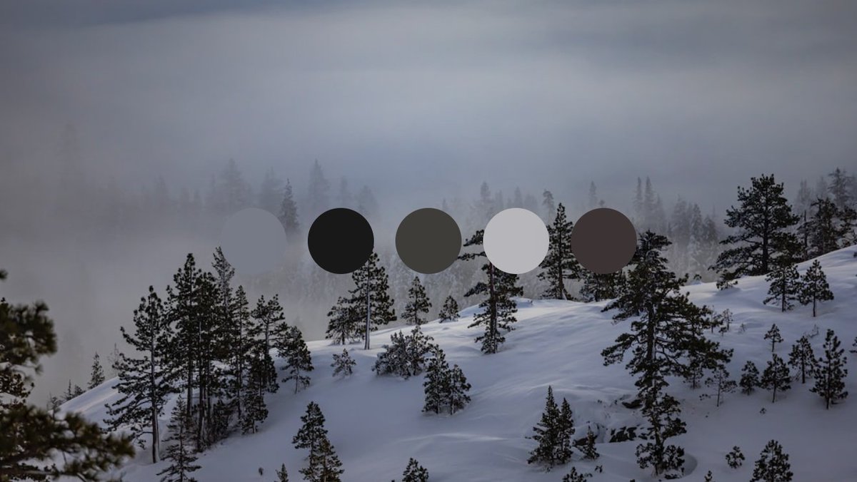 ColorKitco's tweet photo. Moody snow color palette ❄️

Photo by @stephenleo1982 https://t.co/Wz78ina3Rk