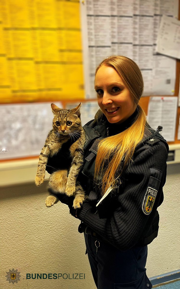 Gestern Nacht um 23:15 Uhr haben wir am Bahnhof Berlin-Lichtenberg einen #Kater in einer Tragebox gefunden. Die Kollegin konnte den sichtlich verängstigten Stubentiger beruhigen. 🐈