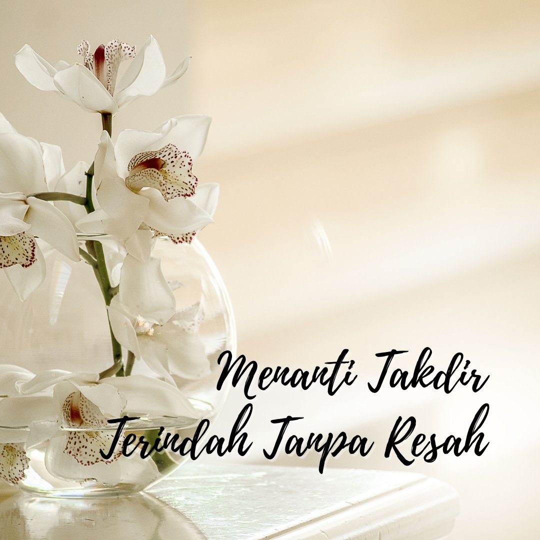 atina091's tweet photo. Menanti Takdir Terindah Tanpa Resah https://t.co/2aqhCXCU9N https://t.co/6L2BxUjpRT