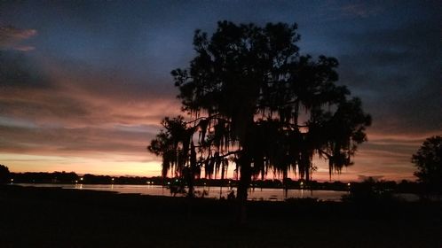 HighCoSheriff's tweet photo. Good Morning, Highlands County!
"It is often the small steps, not the giant leaps, that bring about the most lasting change." -- Queen Elizabeth II
Photo by Felipe Soto
#GoodMorningHighlandsCounty #highlandscountyfl #whywelivehere https://t.co/G5y5dh8baJ