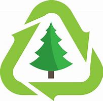Find options for recycling your real tree on ow.ly/Q5aB50JZ4lj
#ctcns #realtrees #iloverealtrees #NSchristmastrees #christmastrees #realtreesrealmemories #novascotia #balsamfir