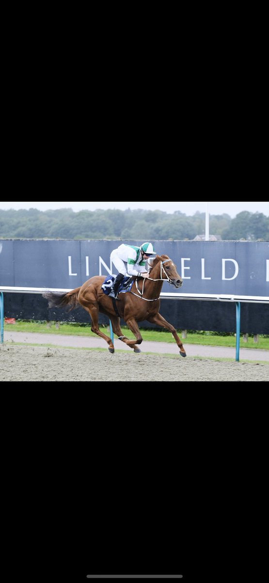 BATBRACING tweet media