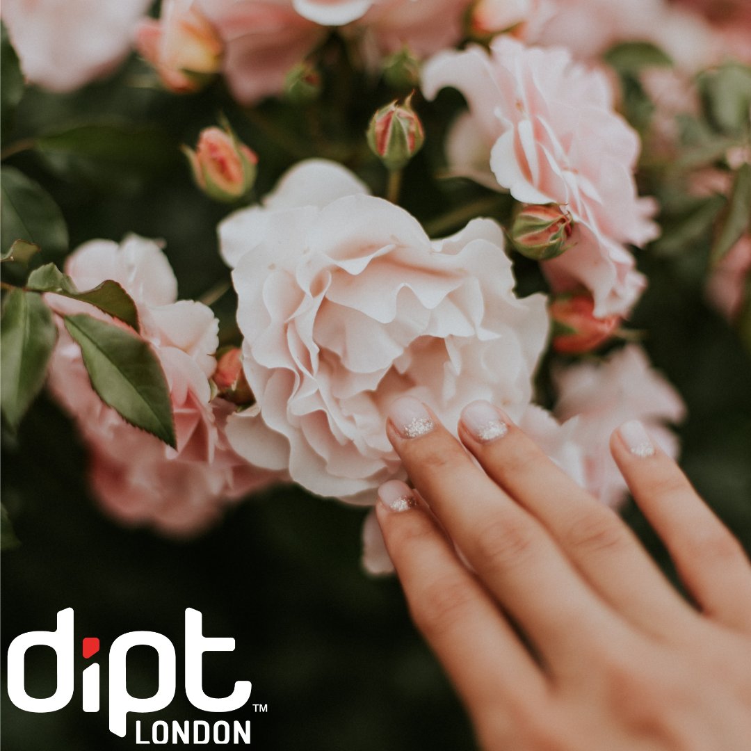 As part of #WorldTriviaDay we have a nail related question for you! 

What is the purpose of our cuticles? 

Let us know in the comments! 

#Dipt #DiptNails #Manicure