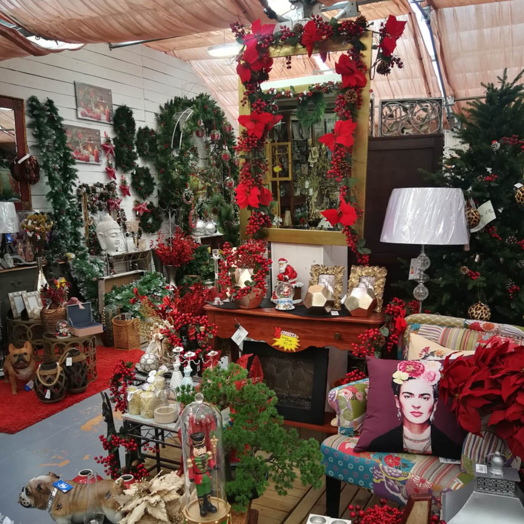 ViverosAznar's tweet photo. ¿Todavía estas pensando en qué regalar? ¡Tenemos el regalo perfecto! Centros de flores, cestas de plantas, decoración especial…. ¡Aun estas a tiempo de dar una sorpresa!
.
.
#floresaznar #viverosaznar #flores #plantas #vivero #viverozaragoza #zaragoza #zgz #plantlover https://t.co/3hYRRykkhH