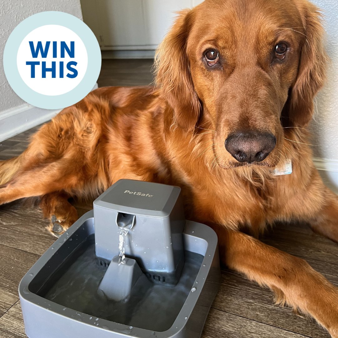 PetSafeEurope's tweet photo. Giveaway 🐾 We are giving you the chance to win the Drinkwell Pet Fountain.
To enter: retweet, comment and follow @PetSafeUK https://t.co/Y6Y275QHNu