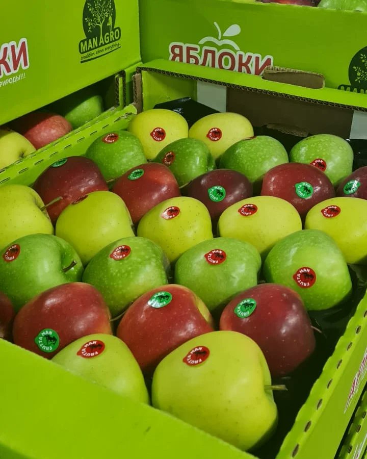 Fruttamann's tweet photo. Apples of @ManAgroAz are ready for sale. 
#apples #beauty #taste #healthy #healthyfood  #fruits https://t.co/GVyoaQeGzt