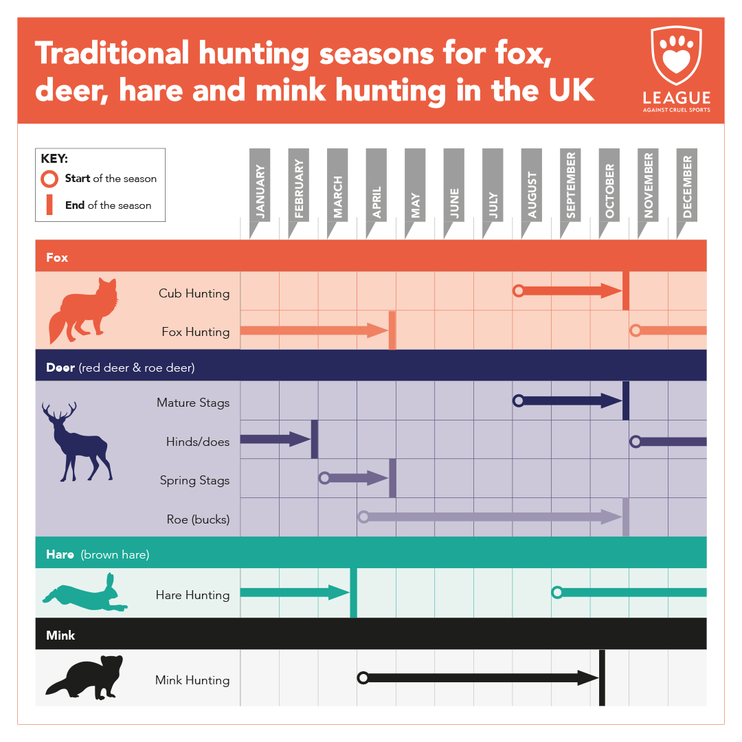 LeagueACS's tweet photo. Did you know hunting occurs around the UK all year long? 

We have a whole host of information on our website for you.

👇 

Visit: https://t.co/KT6gdx8OSa

#FoxHunting #DeerHunting #HareHunting #MinkHunting #EndHunting #TimeForChange https://t.co/T7MdmCbUGX