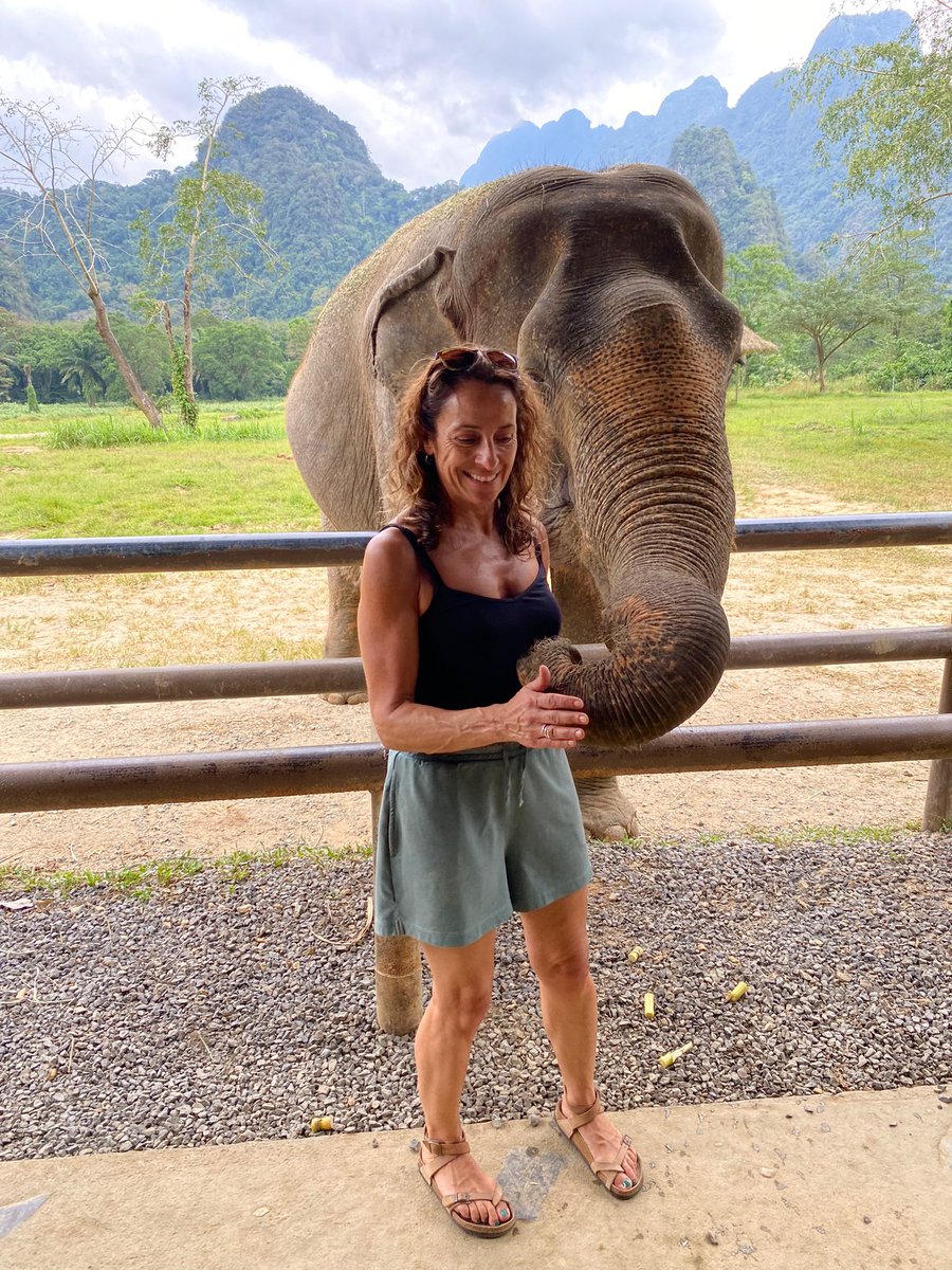 Bellabonkers3's tweet photo. @Elephant_Hills 3 year wait but worth it…. Amazing place ❤️🐘 #Elephant #Thailand @kevben https://t.co/9FiihfAWho