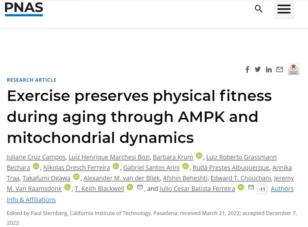 Exercise preserves physical fitness during aging through AMPK and mitochondrial dynamics

pnas.org/doi/10.1073/pn…
