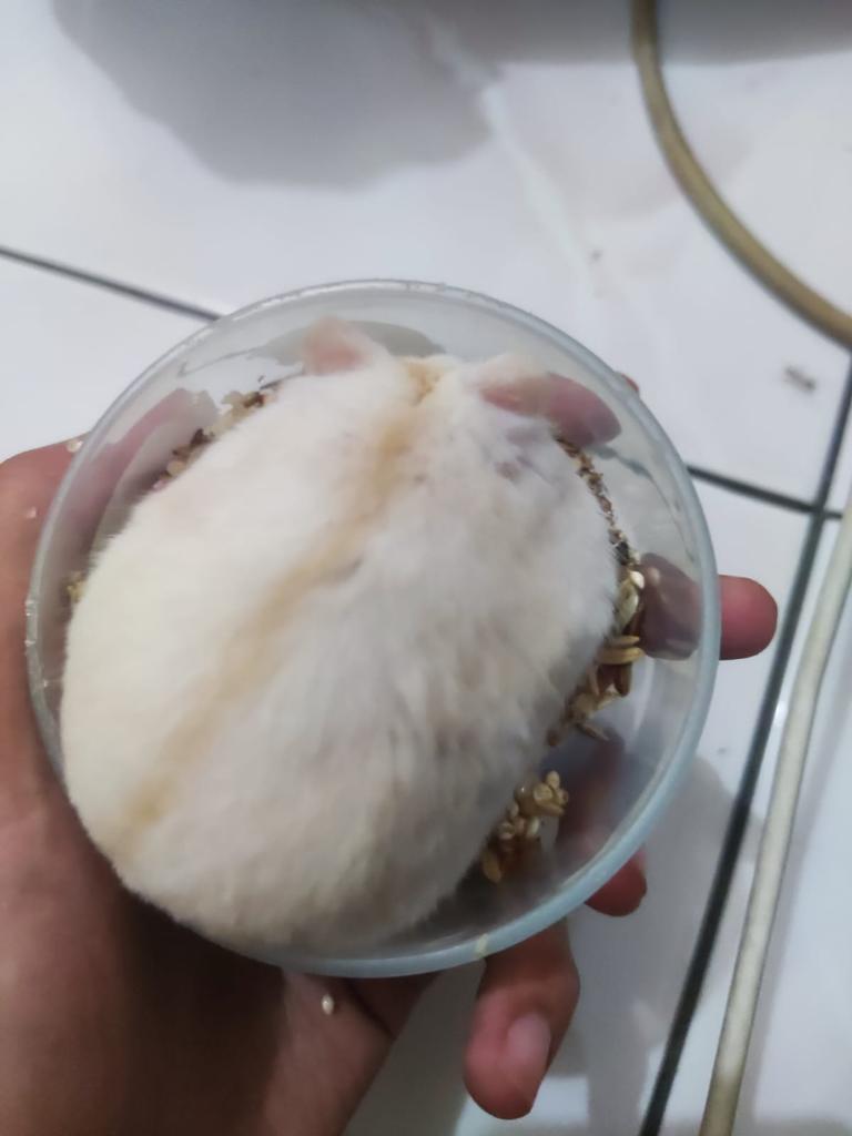 K̷̻͎̒̐̒ô̵͎͊̀n̴̪͈̩͋͊̈́ ̴̺̼̟̊̿̈́͂K̵̨̟̪̲̞̣̬̅͐̍̅̾͆̈́̕̚ tweet media