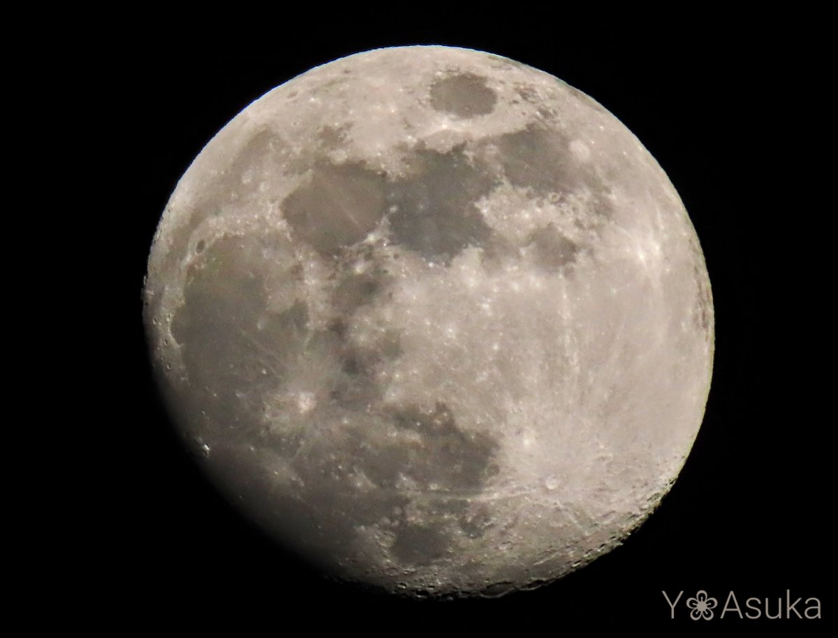 yumeasutw's tweet photo. 今宵も月が綺麗です🌔✨

お疲れ様です🏁
すっかり夜の帳が下りた頃🌃
東の空高く #十三夜 のお月様(月齢12.0)が、煌々と街を照らしています✨
月の右上で輝くのは🌟 #火星 です💫

#夜空 #宙の名前
#天気の図鑑 #雲友の会
#月 #moon
#a2023 #a0104 #a202301 #a2023011 https://t.co/Wfdc5bJPeq