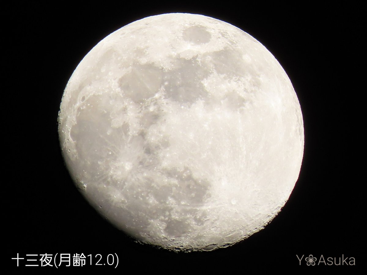 yumeasutw's tweet photo. 今宵も月が綺麗です🌔✨

お疲れ様です🏁
すっかり夜の帳が下りた頃🌃
東の空高く #十三夜 のお月様(月齢12.0)が、煌々と街を照らしています✨
月の右上で輝くのは🌟 #火星 です💫

#夜空 #宙の名前
#天気の図鑑 #雲友の会
#月 #moon
#a2023 #a0104 #a202301 #a2023011 https://t.co/Wfdc5bJPeq