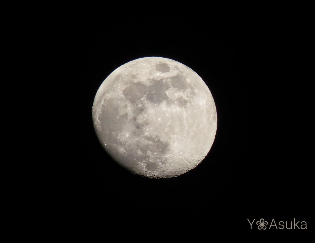 yumeasutw's tweet photo. 今宵も月が綺麗です🌔✨

お疲れ様です🏁
すっかり夜の帳が下りた頃🌃
東の空高く #十三夜 のお月様(月齢12.0)が、煌々と街を照らしています✨
月の右上で輝くのは🌟 #火星 です💫

#夜空 #宙の名前
#天気の図鑑 #雲友の会
#月 #moon
#a2023 #a0104 #a202301 #a2023011 https://t.co/Wfdc5bJPeq