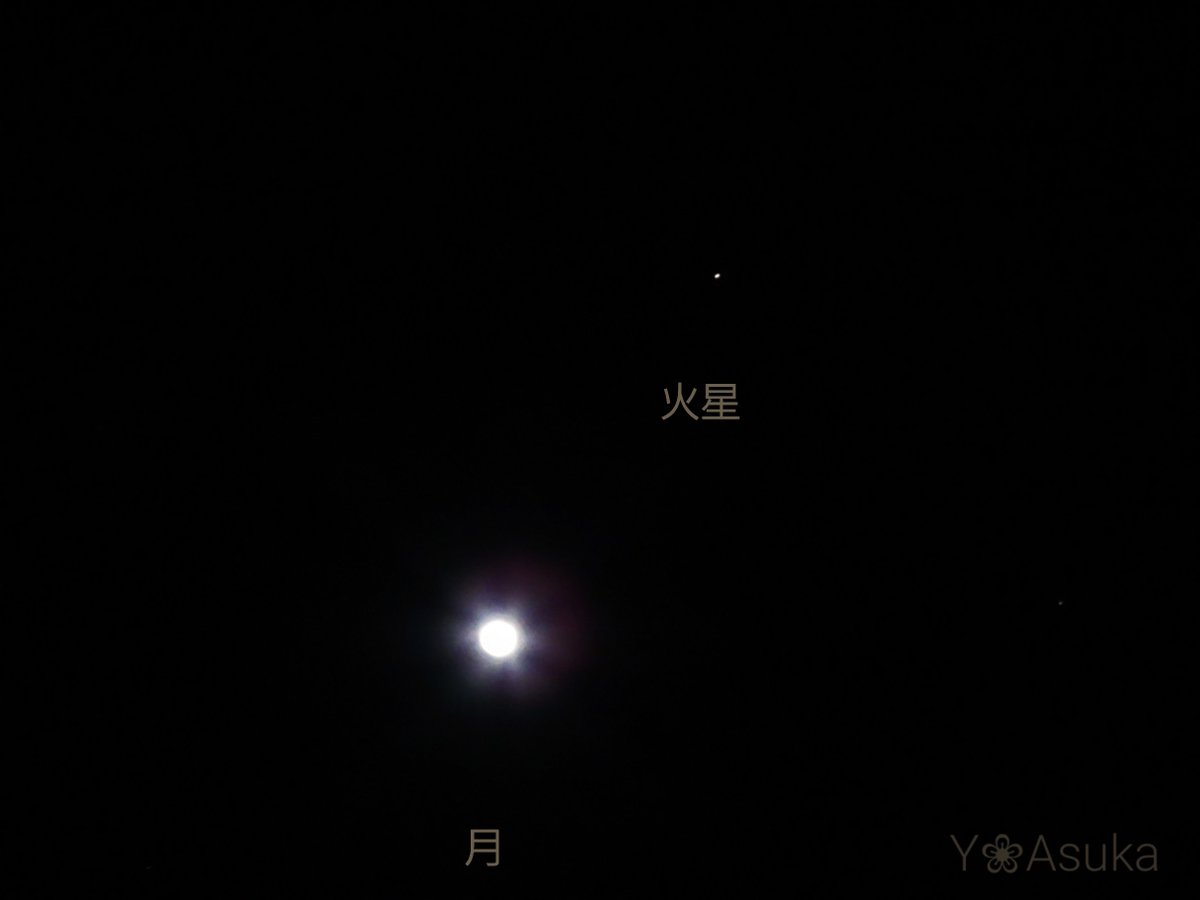 yumeasutw's tweet photo. 今宵も月が綺麗です🌔✨

お疲れ様です🏁
すっかり夜の帳が下りた頃🌃
東の空高く #十三夜 のお月様(月齢12.0)が、煌々と街を照らしています✨
月の右上で輝くのは🌟 #火星 です💫

#夜空 #宙の名前
#天気の図鑑 #雲友の会
#月 #moon
#a2023 #a0104 #a202301 #a2023011 https://t.co/Wfdc5bJPeq