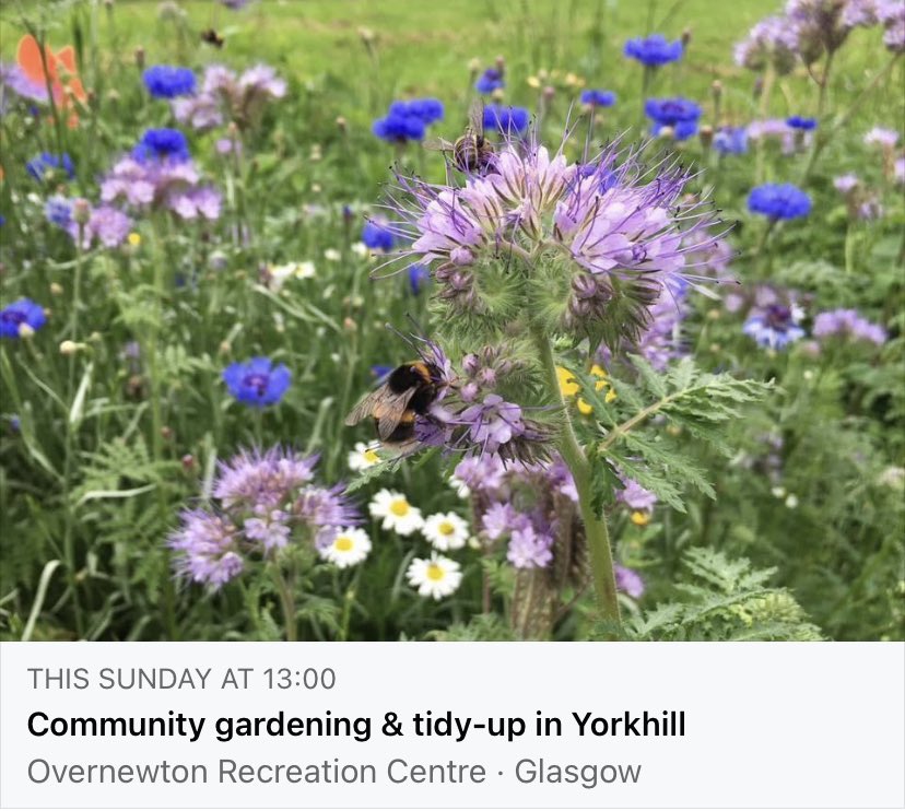 Yorkhill Green Spaces tweet media