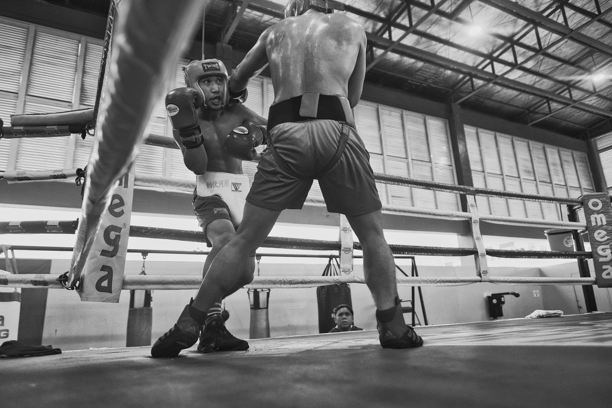 Omega Boxing tweet media