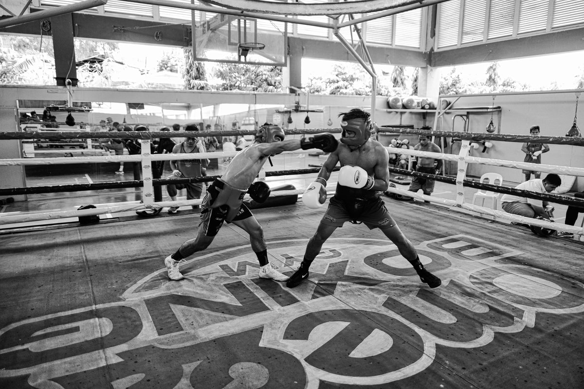 Omega Boxing tweet media