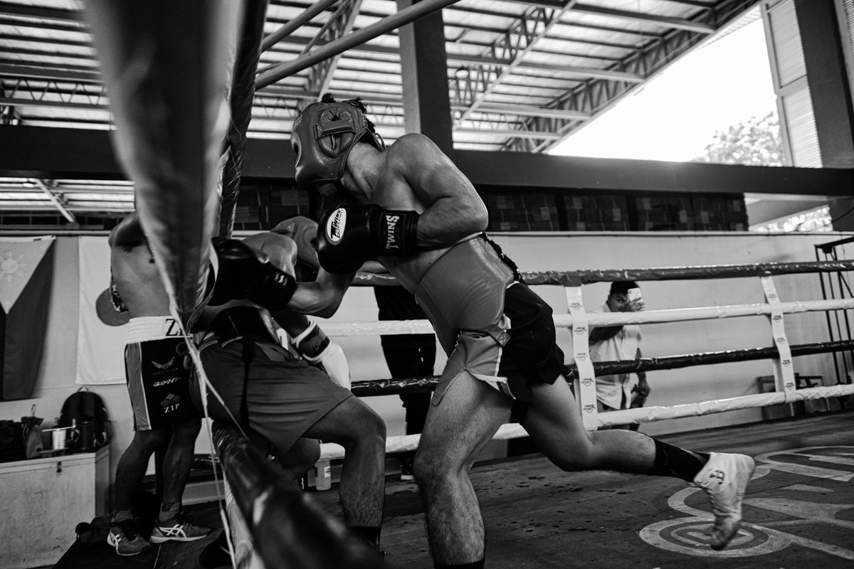 Omega Boxing tweet media