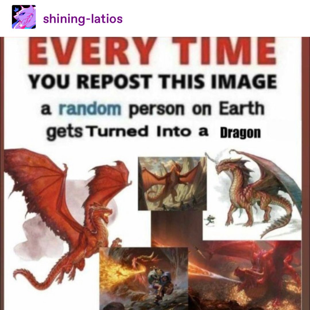 tumblr's tweet photo. ooo!
scales! https://t.co/rpibkUnFco