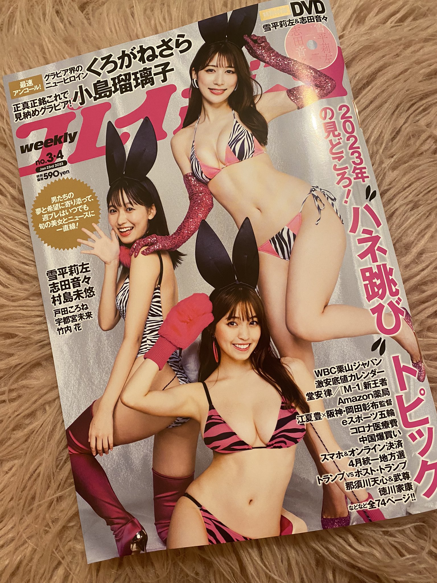 週刊プレイボーイ 週刊プレイボーイ/週プレ 2019年5月13日号 (発売日2019年04月22