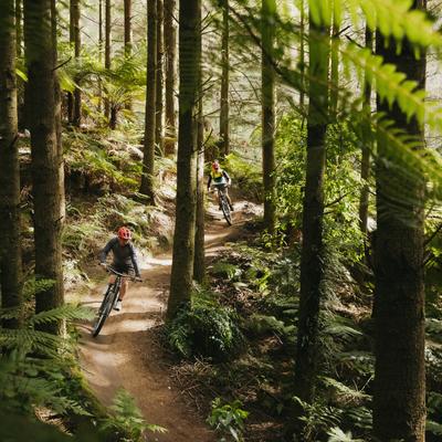 CyclingElectric's tweet photo. Exploring the geysers and great redwoods of New Zealand's Whakarewarewa Forest by bike - National Geographic UK https://t.co/knxuYZfIPL https://t.co/dH57zE2EG9