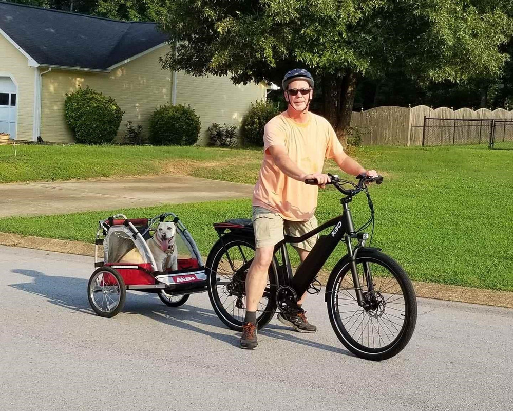 CyclingElectric's tweet photo. How To Bike with Your Dog? - Digital Journal https://t.co/gg46wRuKzZ https://t.co/N8mHeBwaVT