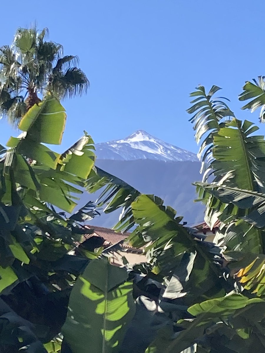 ADayOnTenerife's tweet photo. #Vacaciones 🌞 #Canarias 🏝 #Tenerife 🌴 #PuertoDeLaCruz 🏖 #Albertos ☕️ #Teide 🌋 #Snowcap 🏔 https://t.co/BC1lss7Ydo