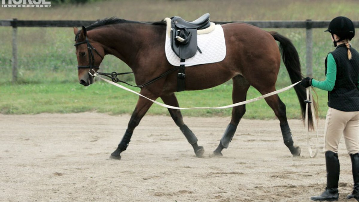 January Newsletter From Green Glen Equine Hospital - mailchi.mp/70420c450dac/h…