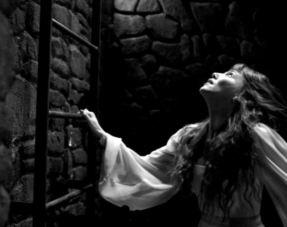 Natalii361's tweet photo. La libertad es ser quien yo soy, no quien esperan que sea.🧡🧡
#ElçinSangu 
#ÇöpAdam https://t.co/9ddxEhgCJ9