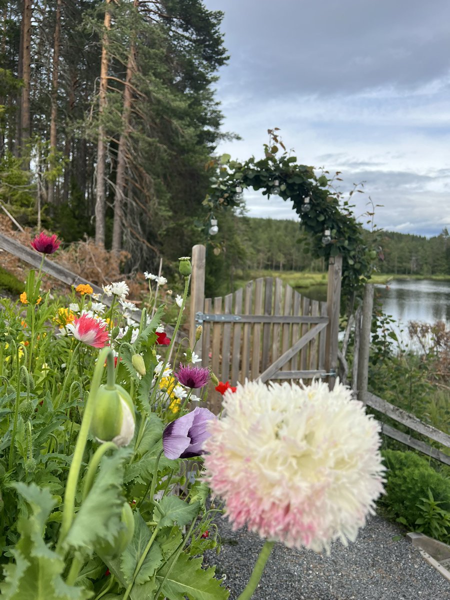 ซัมเมอร์นี้จะทำ vlog แนว cottage girl เยอะๆ เลย ไม่ไรนะ อยากอวด cottage 😂