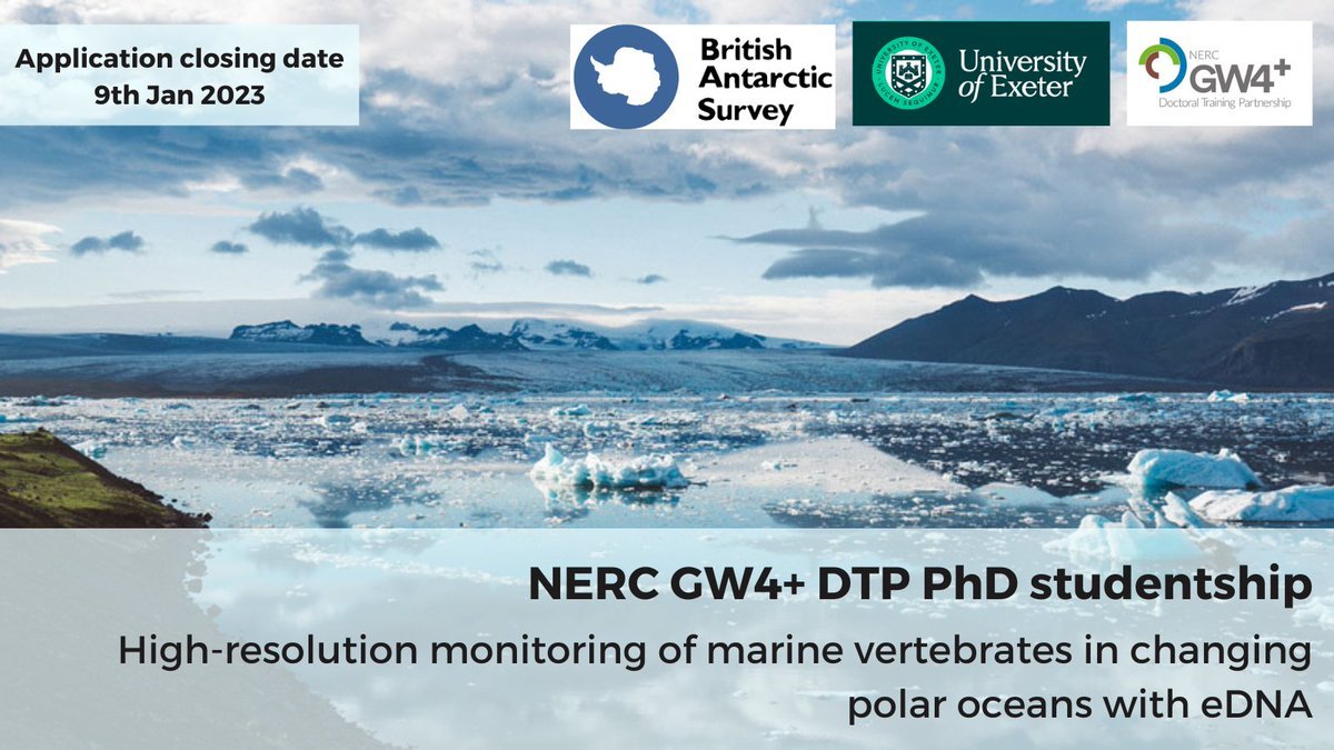 ⚡️PhD Alert⚡️Closing date on the 9th January⚡️Join us at University of Exeter and British Antarctic Survey for an exciting collaboration between @marinebugs @polarbiome investigating eDNA of marine vertebrates in polar oceans. ➡️ exeter.ac.uk/study/funding/…