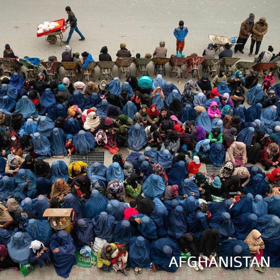FerozK04's tweet photo. افغانستان هیچ دوست واقعی ندارد اما دشمنان دایمی دارد. یک دشمن ما بیسوادی جامعه ما است. جز از آزادی و شگوفایی کشور عزیزم هیچ چیز برایم اهمیت ندارد. کشورها با انگیزه قوی جوانان آن ساخته شدند همت کنیم ما از دیگران چی کمبودی داریم !
#BanTaliban #removeTaliban #CutwithTaliban https://t.co/Q5F1uJMlkF
