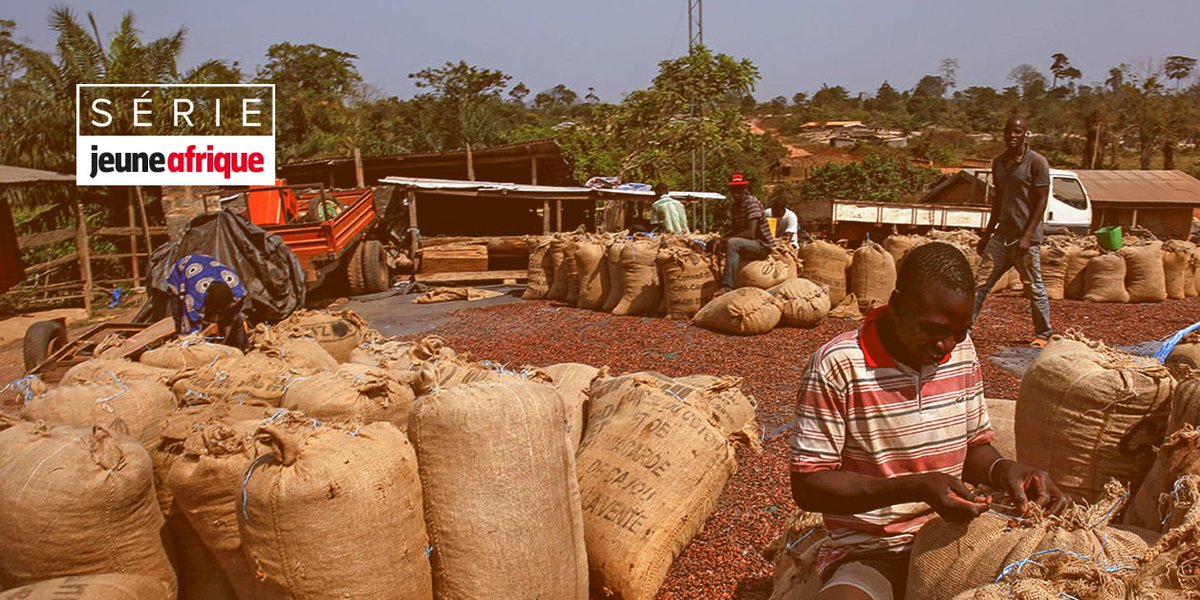 EstelleMaussion's tweet photo. #cacao #cotedivoire Les coopératives, solution pour reprendre le pouvoir ? Deuxième épisode par @BMieu de notre série sur la guerre du cacao publiée cette semaine @IntlCocoaOrg @LdeBassompierre @JA_Eco @jeune_afrique @RnfrstAlliance @RAN @FairtradeUK 
https://t.co/jkBfmUTkFs https://t.co/GYBwKc2pNx