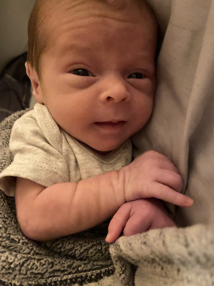 Christine 🧷❤️🐓🐑🐶🐱🦆🏳️🌈🌻 (@christine_p_33) on Twitter photo <a href="/spiraldancer2/">Spiraldancer</a> Hayden just had a doctors appointment and is already up to five pounds twelve ounces!! Yay! He’s going to be a month old on Friday which is his actual due date. Mom and him are doing great. ❤️ Thank you so much for checking on him. <a href="/spiraldancer2/">Spiraldancer</a> Hayden just had a doctors appointment and is already up to five pounds twelve ounces!! Yay! He’s going to be a month old on Friday which is his actual due date. Mom and him are doing great. ❤️ Thank you so much for checking on him.
