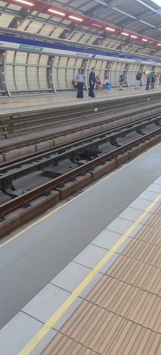 pca_chileno's tweet photo. @Jona_Yanez @metrodesantiago Eso llegó por acá, pero es de tipo 8 de la mañana, quizás en que estación anda a esta hora https://t.co/YsZIsI3zf5