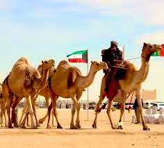 travelers_gulf tweet picture