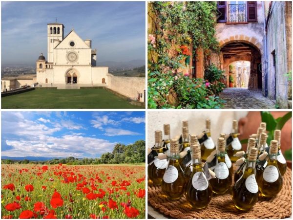 SpanSteps's tweet photo. Springtime in Italy - The Via Francigena &amp; Assisi Pilgrimage Routes!👣👣 - https://t.co/sD4MsIEXuM https://t.co/8JC96bZkDv