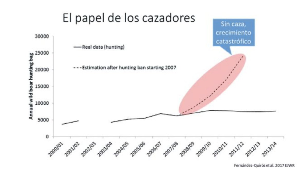 👉La caza: herramienta clave para el control de la sobreabundancia

El <a href="/IREC_CSIC_UCLM/">IREC (CSIC, UCLM, JCCM)</a> tiene claro que hay que trabajar para asegurar la pervivencia de la caza como actividad generadora de ocio y cultura, de riqueza y de equilibrio en el medio natural 

ℹ️irec.es/divulgacion-ci…