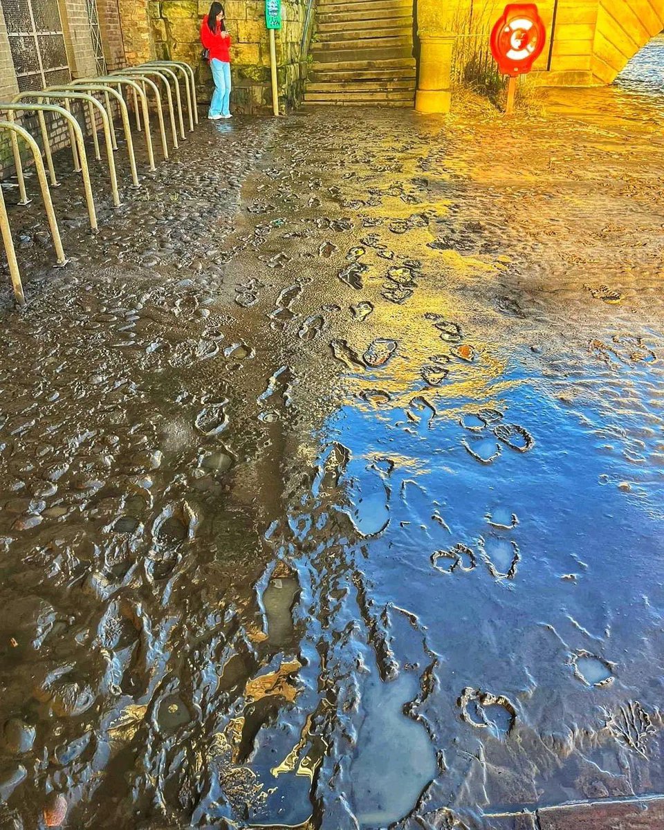 Clean again!
The BID cleansing team have been hard at work clearing mud from the riverside paths in the city centre.

#cleancity #bidcleanteam #yorkuk #loveyork
